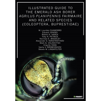 CHAMORRO - ILLUSTRATED GUIDE TO THE EMERALD ASH BORER AGRILUS PLANIPENNIS FAIRMAIRE AND RELATED SPECIES (COLEOPTERA, BUPRESTID