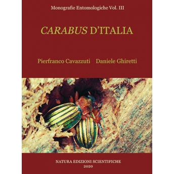 CAVAZUTTI & GHIRETTI - CARABUS D'ITALIA