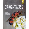 WIESBAUER - GOLDWESPEN MITTELEUROPAS
