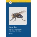SIVELL - BLOW FLIES (DIPTERA: CALLIPHORIDAE, POLENIIDAE, RHINIIDAE)