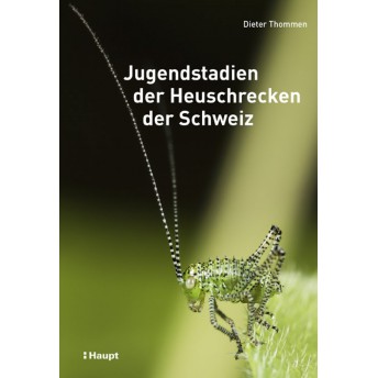 THOMMEN - JUGENDSTADIEN DER HEUSCHRECKEN DER SCHWEIZ