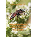 BITSCH - HYMÉNOPTÈRES SPHÉCIFORMES D’EUROPE. VOLUME 2