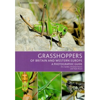 SARDET - GRASSHOPPERS OF BRITAIN AND WESTERN EUROPE